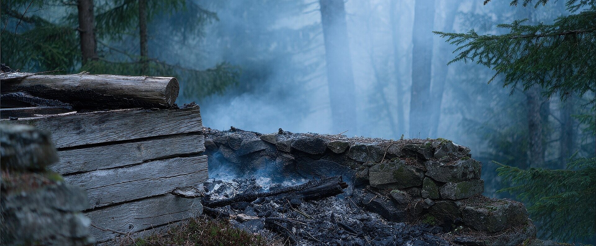 Wald im Nebel und Holz