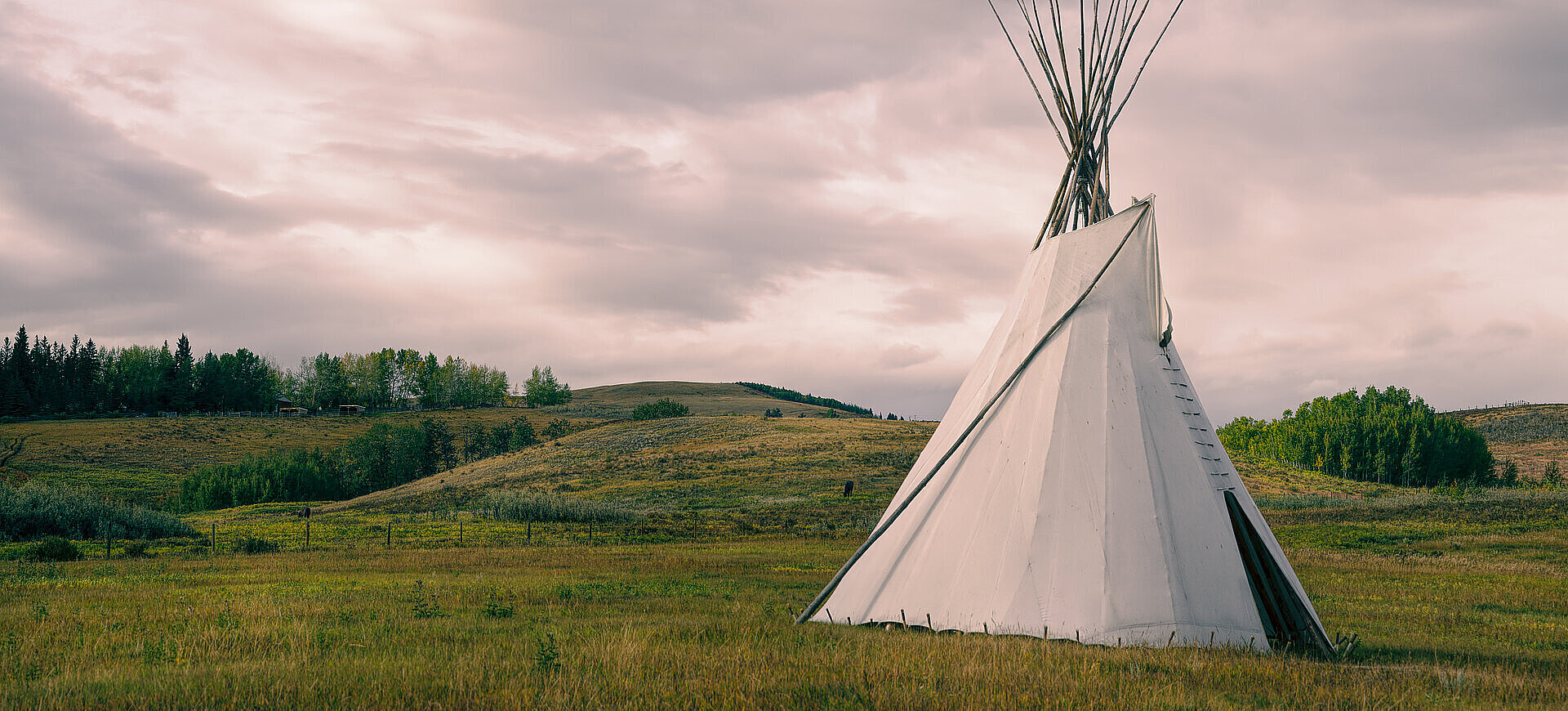Tipi auf Wiese